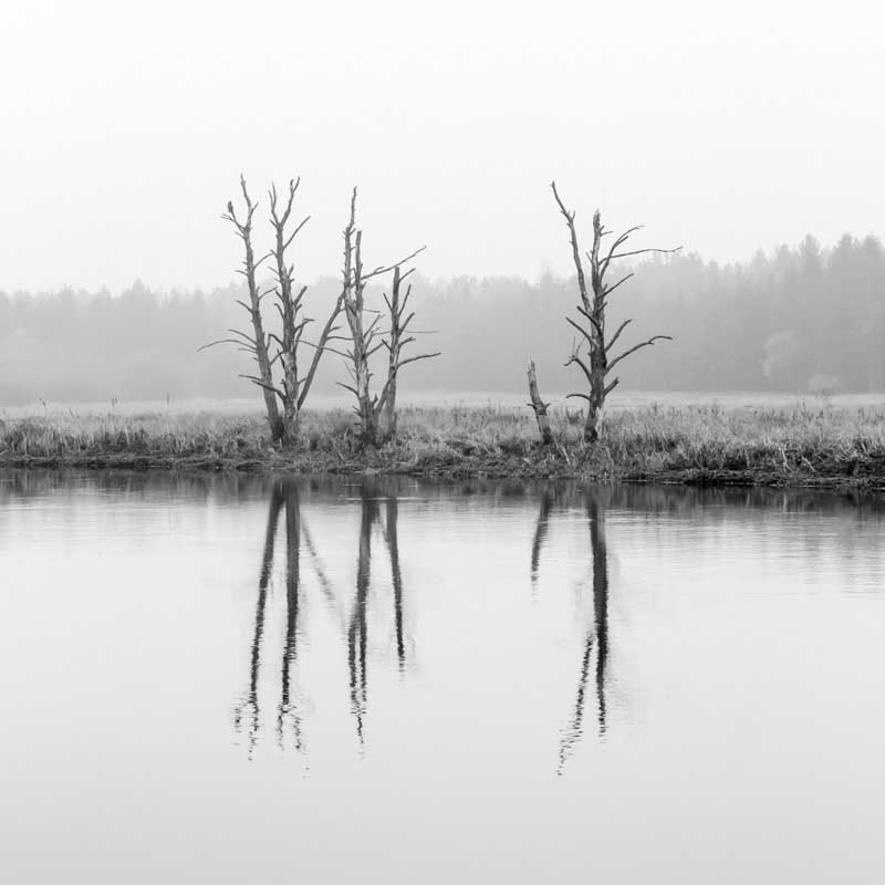 Seri&oslash;s h&oslash;st | Veggbilder | Fotokunst til salgs | Kunstfoto | Kunst | Foto | Bilde